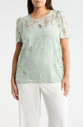 Anne Klein Lace Top in Soft Aloe at Nordstrom, Size 2 X