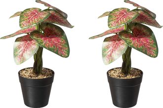 Creativ Green Künstliche Zimmerpflanze