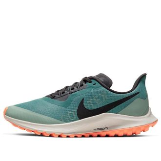 Nike (WMNS) Nike Air Zoom Pegasus 36 Trail GTX Bicoastal BV7763-300