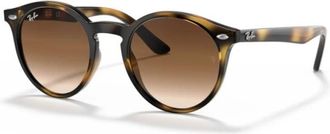 Ray-Ban Klassieke Zwarte Zonnebril - unisex - Zonnebrillen - Bruin - 44 MM - Accessoires