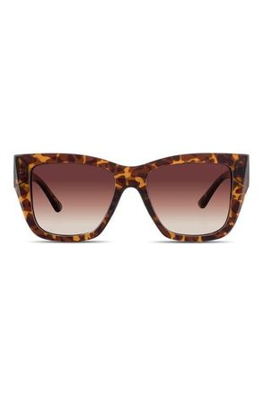 Velvet Eyewear Marsha Sunglasses in Tortoise at Nordstrom