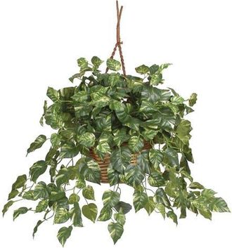 Nearly Natural Pothos Hanging Basket Artificial Plant in Green at Nordstrom