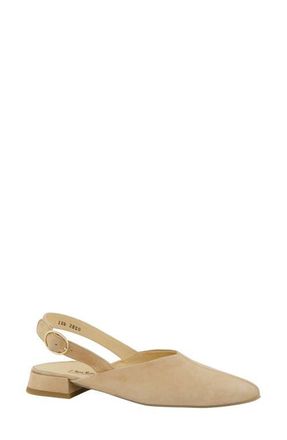 Paul Green Aladdin Slingback Point Toe Flat in Dakar Suede at Nordstrom, Size 7.5Us