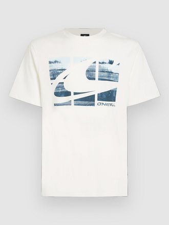 O'Neill Gradient T-Shirt weiss