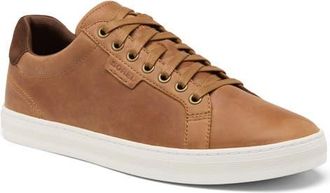 Sorel Cyprus LX Sneaker in Velvet Tan/Sea Salt at Nordstrom, Size 11.5