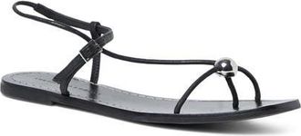 Loeffler Randall Lara Ankle Strap Sandal in Black at Nordstrom, Size 10.5