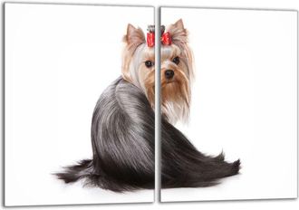 OEM Placa Protectora De Vidrio Para Estufa 2x40x52 Perro