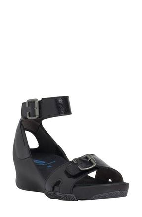 Wolky Eraza Ankle Strap Sandal in Black at Nordstrom, Size 11Us