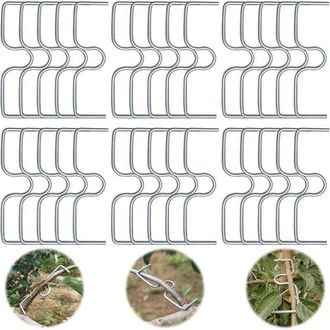 OEM Juego De 30 Separadores De Ramas De &Aacute;rboles Frutales, Soportes Para Ramas De Frutales, Clips Met&aacute;licos Para Ramas De Jard&iacute;n, Para Separar Y Estirar Ra