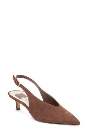 Dolce Vita Alenna Slingback Pointed Toe Kitten Heel Pump in Dk Brown Suede at Nordstrom, Size 7