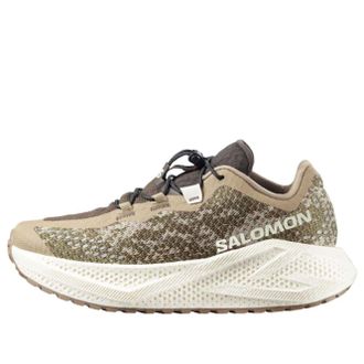 Salomon (WMNS) SALOMON Areo Glide 4 GRVL Safari Vanilla Ice 491753