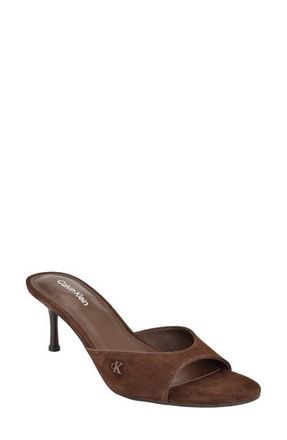 Calvin Klein Vixie Slide Sandal in Dark Brown at Nordstrom, Size 6.5