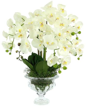 Creative Displays Inc. Orchid Floral Arrangement With Leaves And Vines In Glass Pedestal Vase