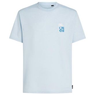 O'Neill Hybrid Polygiene Graphic T-Shirt T-Shirt f&uuml;r Herren | grau