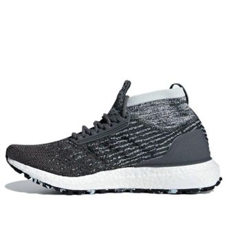 adidas (WMNS) adidas UltraBoost All Terrain Grey Carbon F36129