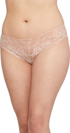 Montelle Intimates Brazilian Lace Panties in Champagne at Nordstrom, Size X-Large