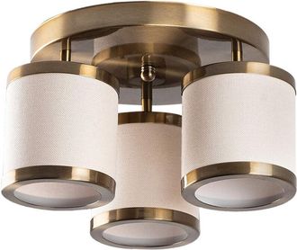 GreenIce L&aacute;mpara De Ara&ntilde;a L&aacute;mpara De Techo L&aacute;mpara Colgante Sala De Estar