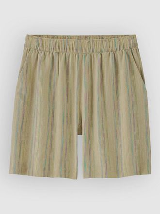 Patagonia Garden Island Long - 6 In. Shorts