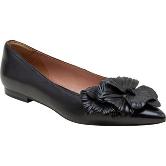 Linea Paolo Nerine Pointed Toe Flat in Black at Nordstrom Rack, Size 8