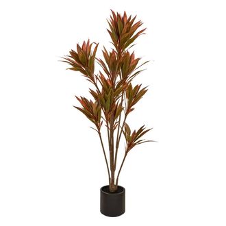Atmosphera Dracena Roja Edi, 180 Cm, Con Maceta - Atmosphera Cr&eacute;ateur DInt&eacute;rieur