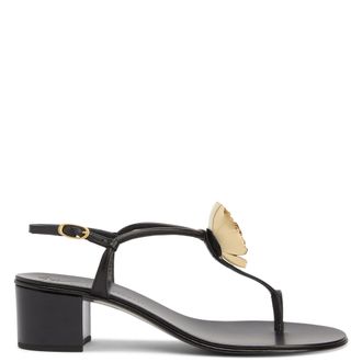 Giuseppe Zanotti Sophora