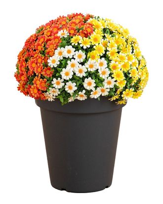 Nearly Natural 18In Uv-Resistant Autumn Artificial Fall Mixed Daisy Plant In Pot (Indoor/Outdoor)