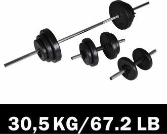 vidaXL Juego De Barras + 2 Mancuernas 30,5kg Vidaxl