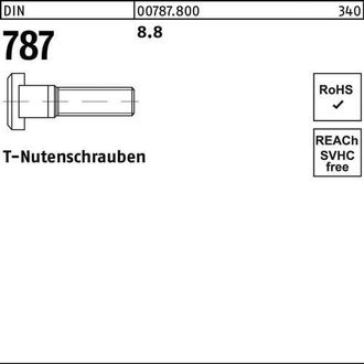 OEM T-nutenschraube Din 787 12 M12x 65 8.8 10 St&uuml;cktornillo De Ranura En T Din 787 12 M12x 65 8.8 10 Piezas