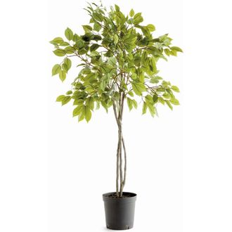 Napa Home & Garden Ficus Drop-In Artificial Tree 51 in Green at Nordstrom
