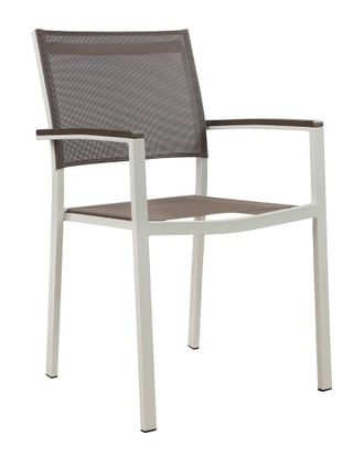 Pangea Home Set Of 6 David Dining Chars