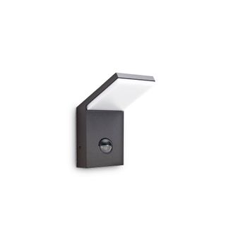 Netlighting Style LED 1 Light Outdoor Wall Light Anthracite IP54 in Black