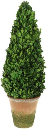Mark Roberts Boxwood Topiary Cone in Green at Nordstrom