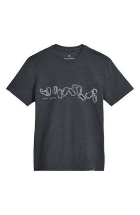 Royal Robbins RR Organic Cotton & Recycled Polyester Graphic T-Shirt in Asphalt Heather Belay at Nordstrom, Size Xx-Large
