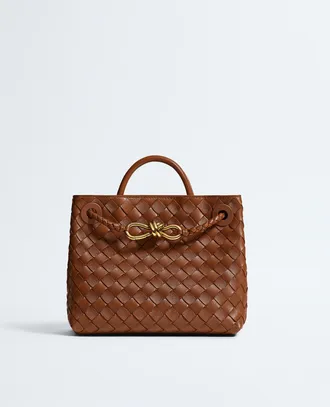 Bottega Veneta Small Andiamo - Brown - Woman - U