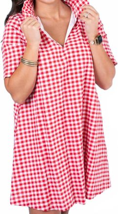 Adrienne Olivia Dress In Red Seer Gingham