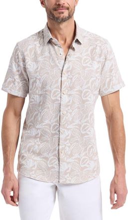 Robert Graham Santa Monica Texture Short Sleeve Button-Up Shirt in Khaki at Nordstrom, Size Xxx-Large