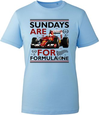 Generic Sundays are for Formul One T-Shirt, Funny Famous Racecar Sports Grand Prix Lover Fan Shirt, Gift Unisex Tee Top (Sky, XL Years)