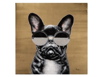 Schubiger M&ouml;bel Bild Cool Dog