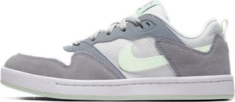 Nike (WMNS) Nike SB Alleyoop Grey White CQ0369-002