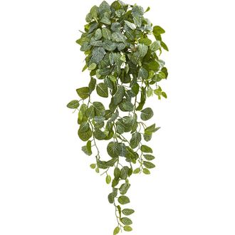 Nearly Natural 36-in Fittonia Hanging Bush Artificial Plant in Green at Nordstrom