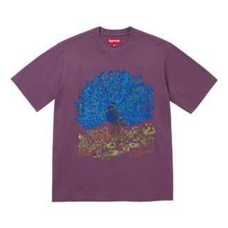 SUPREME FW25 Peacock S/S T-Shirt Purple FW25KN96-PURPLE