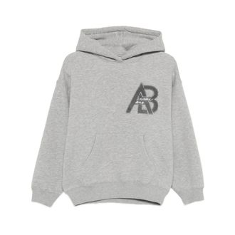 Anine Bing Hoodies, female, Gray, Size: M Jaci Hoodie Letterman