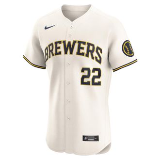 Nike Christian Yelich Milwaukee Brewers Nike Mens Dri-FIT ADV MLB Elite Jersey in Brown | 90B0MZHOMZ9-PNL