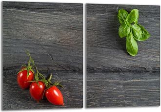 OEM Placa Protectora De Vidrio Para La Estufa 2x40x52 Tomates