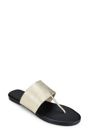 Yosi Samra Ella Flip Flop in Gold at Nordstrom, Size 11