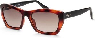 Ferragamo SF958S 214 Havana/Grey