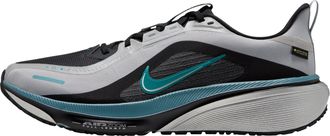 Nike Pegasus 42 Gore-Tex Light Smoke Grey Bright Spruce IQ0455-001
