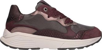 Xsensible Schoenen, Dames, Bruin, 39 EU, Su&egrave;de, Rainbow Sneaker