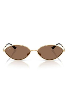 Ray-Ban Kai 56mm Oval Sunglasses in Gold/dark Brown at Nordstrom