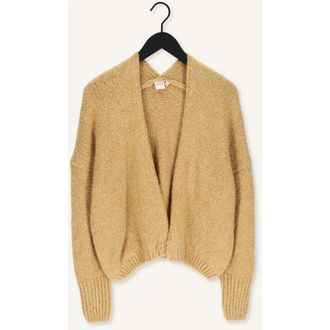 Knit-ted Truien & Vesten, Dames, Beige, XS, Wol, Becky Cardigan